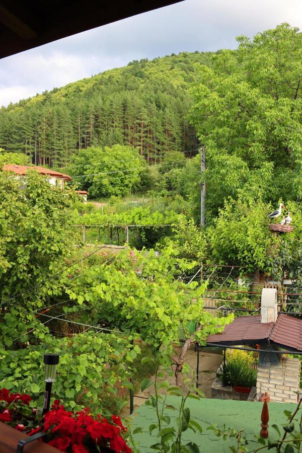 Green House - Попниколови Sapareva Banya Esterno foto