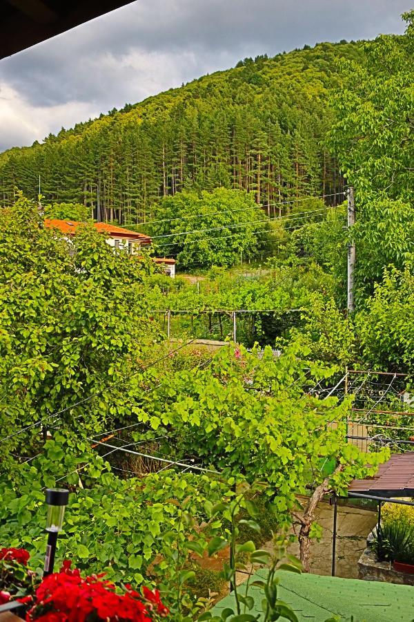 Green House - Попниколови Sapareva Banya Esterno foto